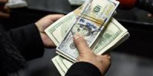 الداخلية تضبط قضايا اتجار في العملات الأجنبية تتجاوز قيمتها 6 ملايين جنيه - كورة نيوز