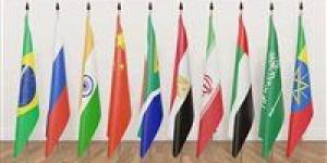 أستاذ الاقتصاد:  انضمام مصر لـ«البيركس» يفتح الباب أمام فرص غير مسبوقة لتعزيز التبادل التجاري والاستثماري - كورة نيوز
