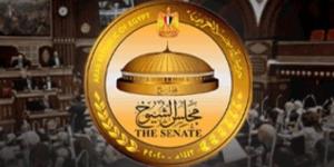 «الوطنية للانتخابات» تحدد قواعد تصويت الخارج وضوابط الدعاية في انتخابات الشيوخ - كورة نيوز