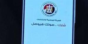 الهيئة الوطنية للانتخابات تُصدر قواعد تصويت المصريين بالخارج في انتخابات مجلس الشيوخ - كورة نيوز