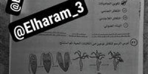 حقيقة تسريب امتحان الأحياء للثانوية العامة 2025.. التعليم توضح - كورة نيوز