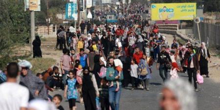 شركة أمريكية تضع نموذجًا ماليًا لتهجير الفلسطينيين من غزة بتكلفة 5 مليارات دولار.. ما التفاصيل؟ - كورة نيوز