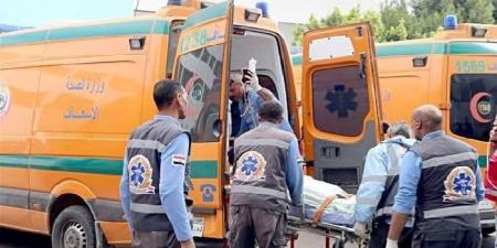 مصرع شخصين وإصابة 3 آخرين في حادث تصادم بزراعي الفيوم - كورة نيوز