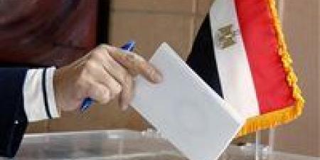 خلال أيام الانتخابات.. تعرف على  عقوبة مخالفة ضوابط الدعاية بانتخابات الشيوخ 2025 - كورة نيوز