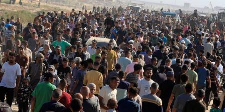حدث في غزة .. استشهاد عائلة فلسطينية من 8 أفراد فى قصف للاحتلال الإسرائيلى حي الزيتون - كورة نيوز