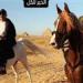 محمد سامي يدعم أحمد السقا: أشهد بأخلاقك وطيبتك.. وبيحب الخير للكل - كورة نيوز