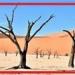 التصحر في الوطن العربي |الكارثة الصامتة - كورة نيوز