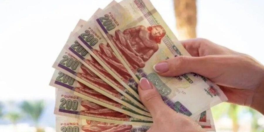 موعد صرف مرتبات شهر يوليو «خاص» و«حكومي» بالزيادة الجديدة - كورة نيوز