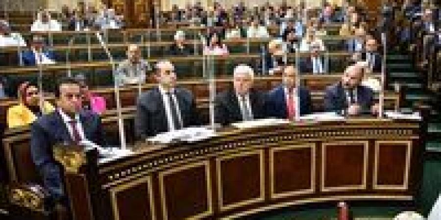 بمشاركة نائب رئيس الوزراء.. الويزمحمود فوزي يحضر جلسة مجلس النواب بشأن تعديلات قانون أعضاء المهن الطبية العاملين - كورة نيوز