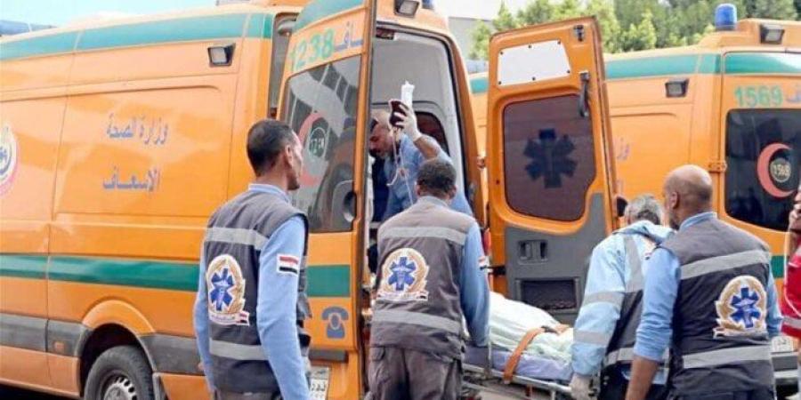 ضحايا لقمة العيش.. إصابة 7 عمال في حادث انقلاب سيارة ربع نقل أعلى طريق دهشور - كورة نيوز