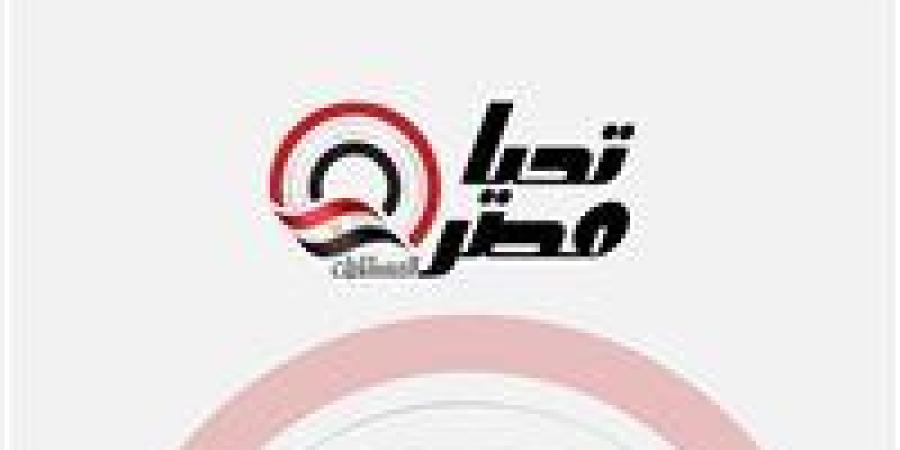 شعبة الأدوات الكهربائية: 20 مليار جنيه حجم الشراكة بين القطاعين العام والخاص في مصر - كورة نيوز