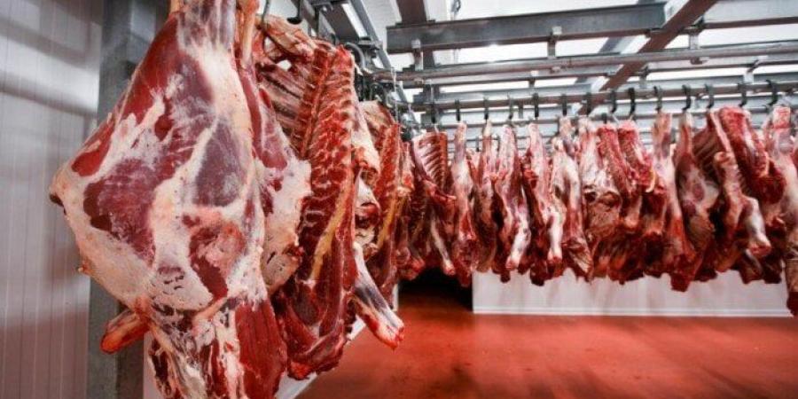 «الضاني بـ 400».. أسعار اللحوم اليوم الجمعة 11 يوليو 2025 في الأسواق والمنافذ - كورة نيوز