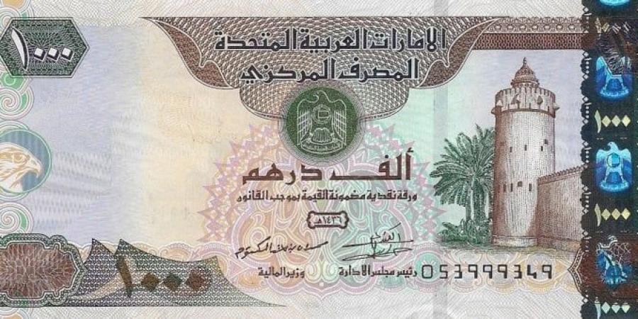 سعر الدرهم الإماراتي مقابل الجنيه المصري اليوم السبت 12 يوليو 2025 - كورة نيوز