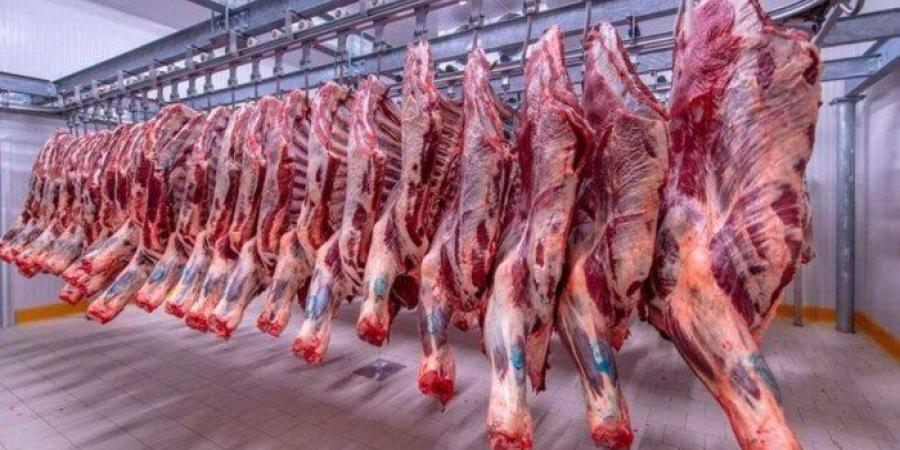الفلتو بـ 420 جنيه.. .أسعار اللحوم في مصر اليوم الثلاثاء 15 يوليو 2025 - كورة نيوز
