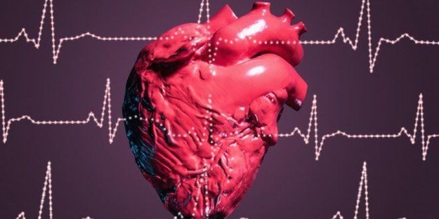 أمراض القلب لا يسببها الكوليسترول وحده… عوامل خفية تهدد صحتك القلبية احذر منها - كورة نيوز