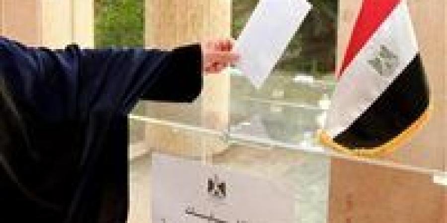 سفارة مصر في أستراليا تفتح لجان الاقتراع للمصريين للتصويت بانتخابات مجلس الشيوخ - كورة نيوز