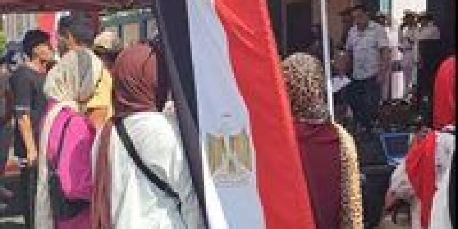 مرشح حماة الوطن مجدى زايد بالإسماعيلية يحصل على نحو 67 ألف صوت بالإسماعيلية بانتخابات الشيوخ 2025 وينتظر قرار الهيئة الوطنية الرسمي بالإعادة مع المرشح المستقل محمد غنام - كورة نيوز